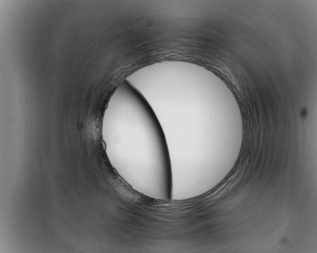 X0000100350285200806060807