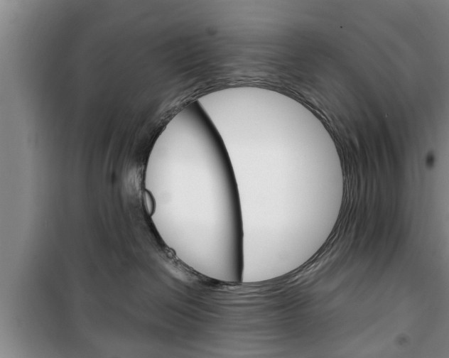 X0000100350286200806060807