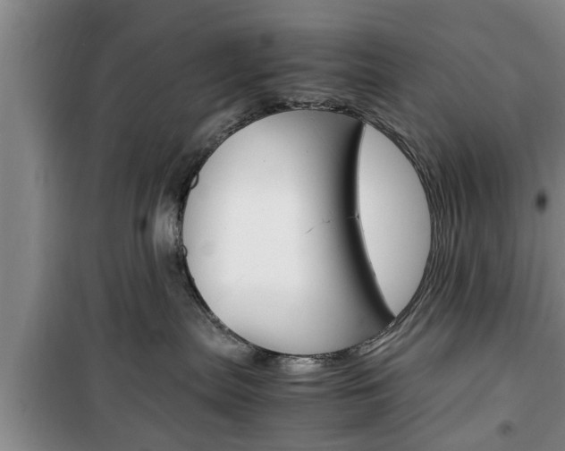 X0000100350287200806060807
