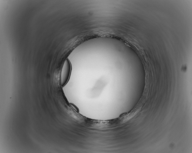 X0000100350288200806060807