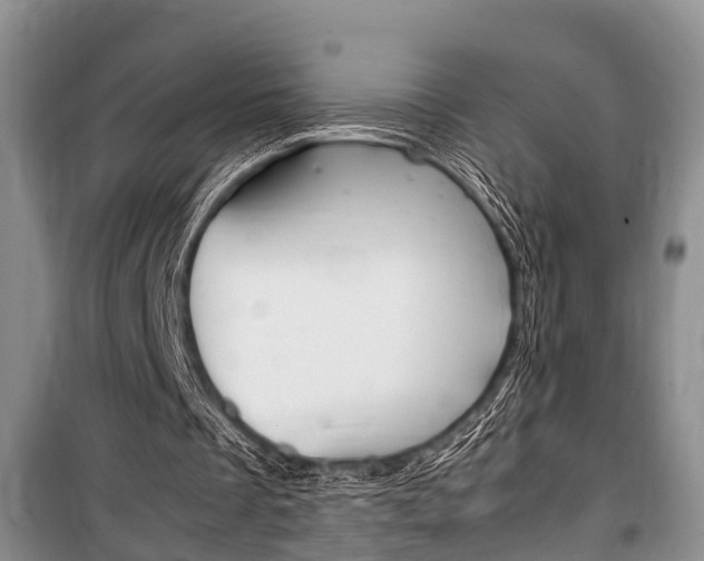 X0000100350289200806060806