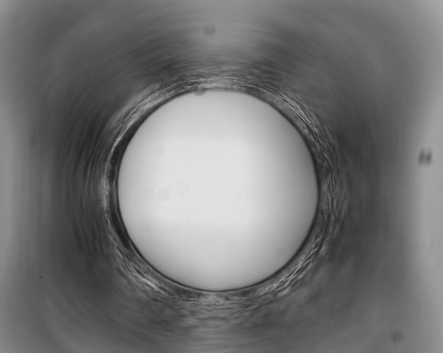X0000100350290200806060806