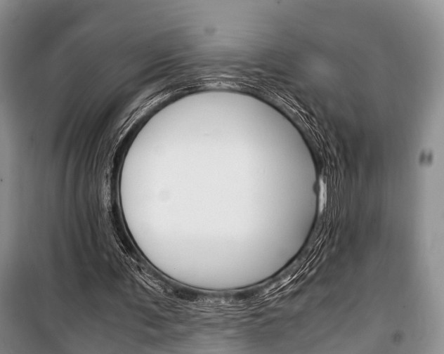 X0000100350291200806060806