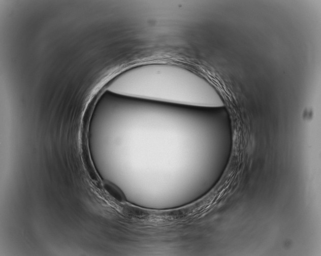 X0000100350292200806060806