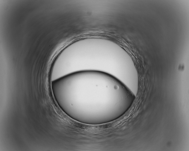 X0000100350293200806060806