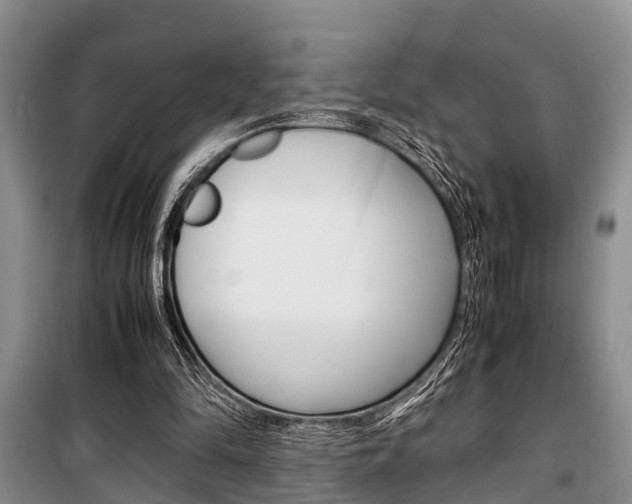 X0000100350294200806060806