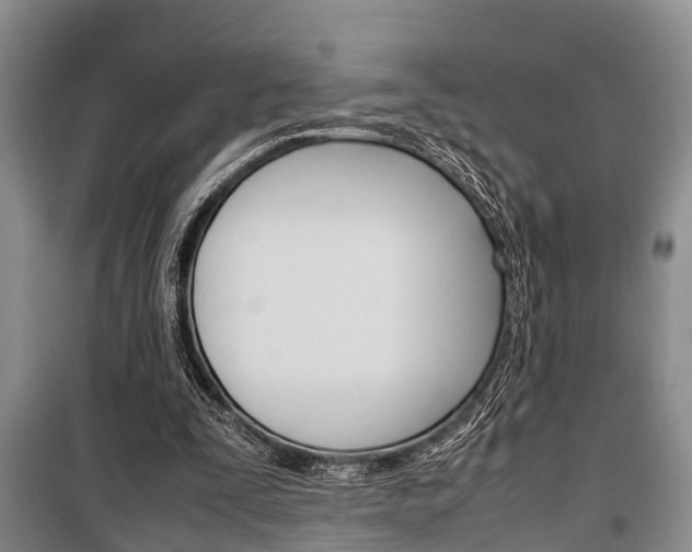 X0000100350295200806060806