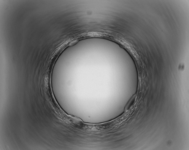 X0000100350297200806060806