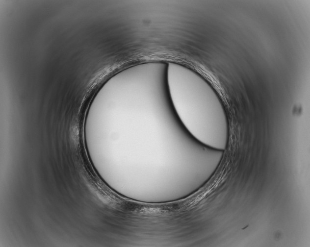 X0000100350298200806060806