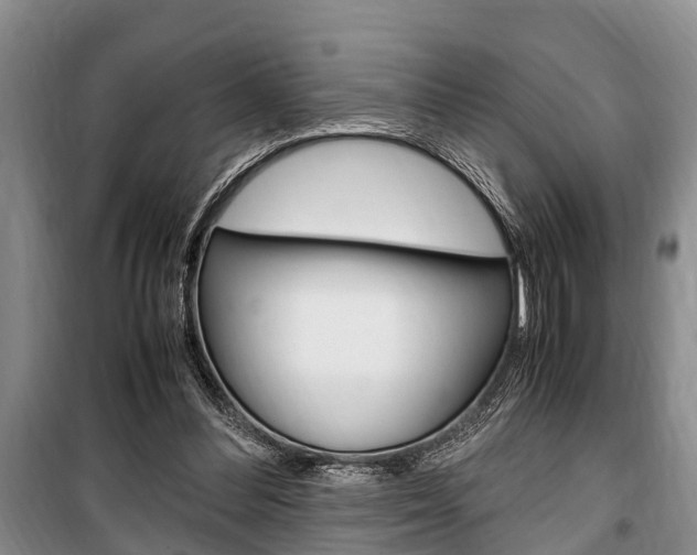 X0000100350300200806060806
