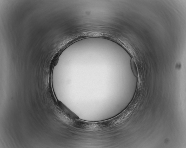 X0000100350301200806060806