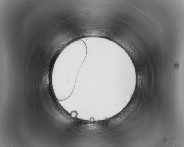 X0000100350302200806060806