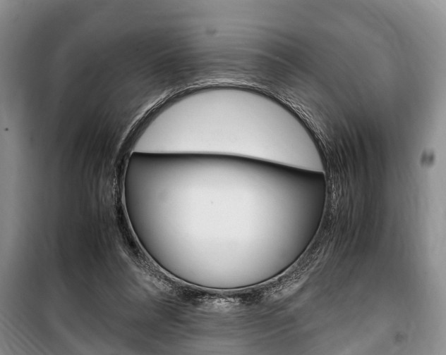 X0000100350304200806060806