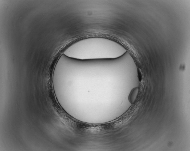 X0000100350306200806060806
