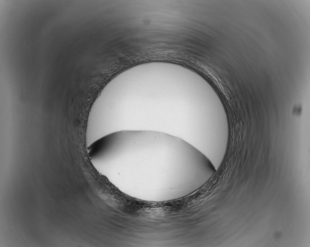 X0000100350307200806060806