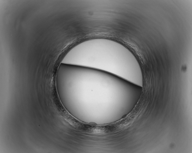 X0000100350308200806060806