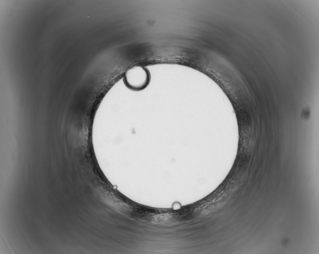 X0000100350309200806060806