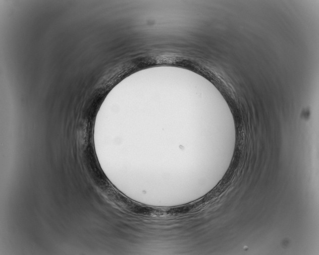 X0000100350311200806060806