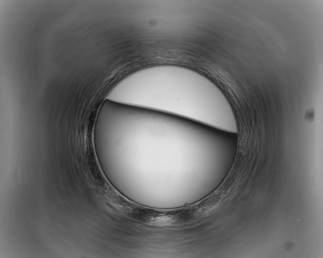 X0000100350312200806060806