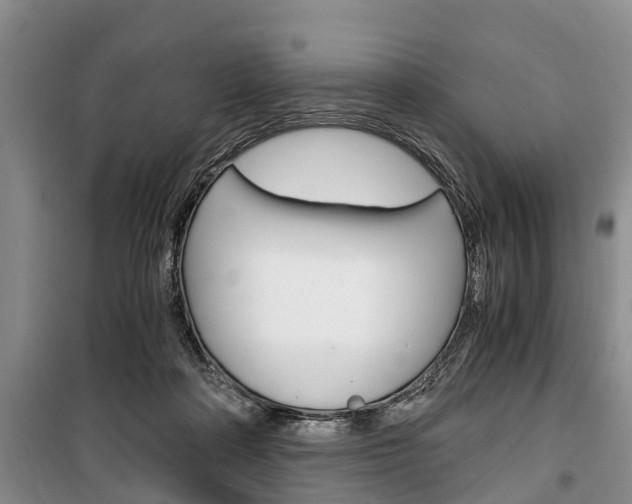 X0000100350314200806060806
