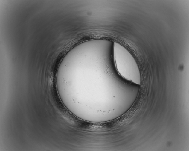X0000100350315200806060806
