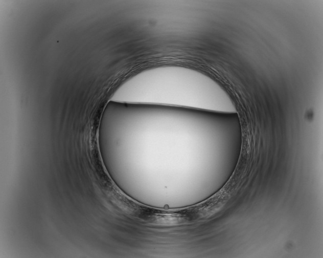X0000100350316200806060806