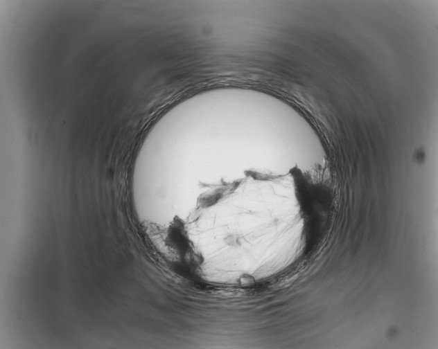 X0000100350317200806060806