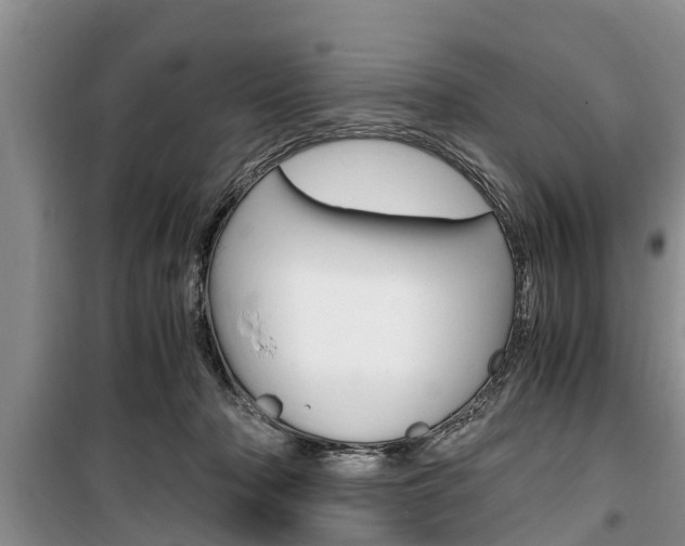 X0000100350318200806060806