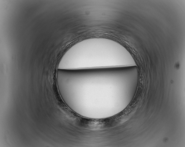 X0000100350319200806060806
