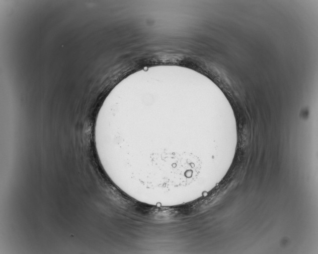 X0000100350321200806060806