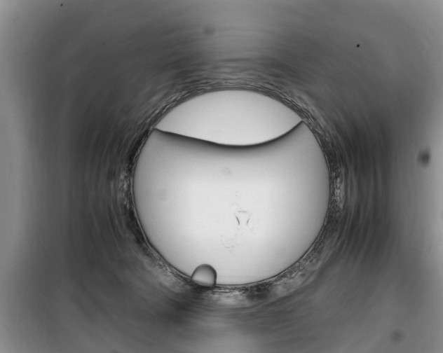 X0000100350322200806060806
