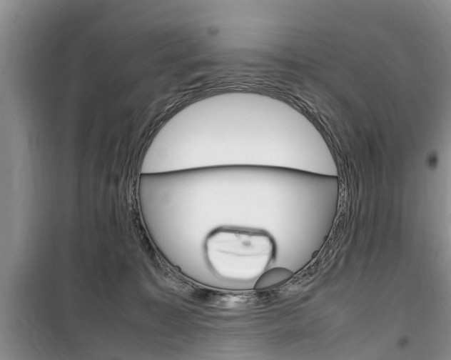 X0000100350323200806060806