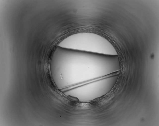 X0000100350324200806060806
