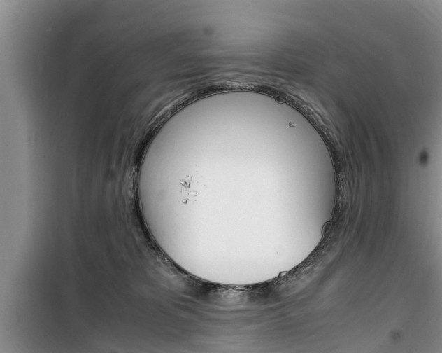 X0000100350325200806060806