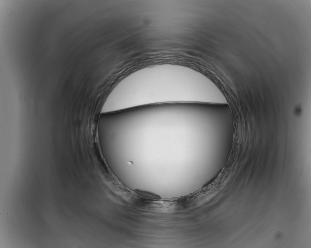 X0000100350328200806060806