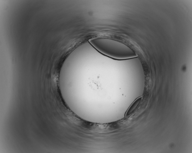 X0000100350329200806060806