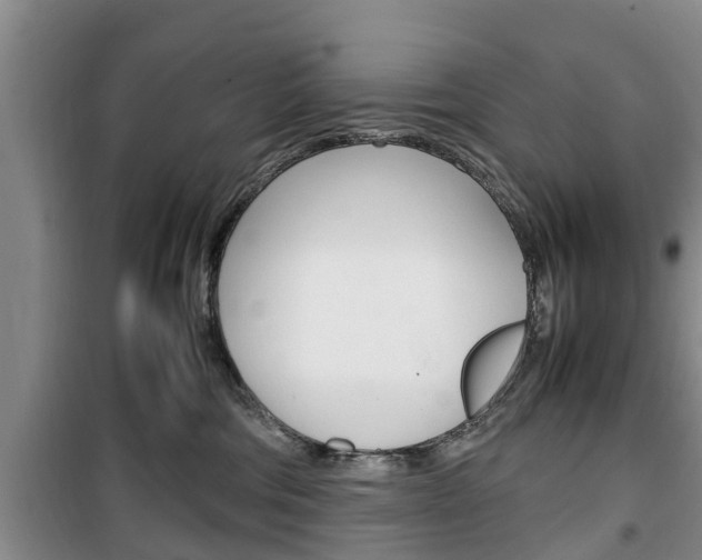 X0000100350330200806060806
