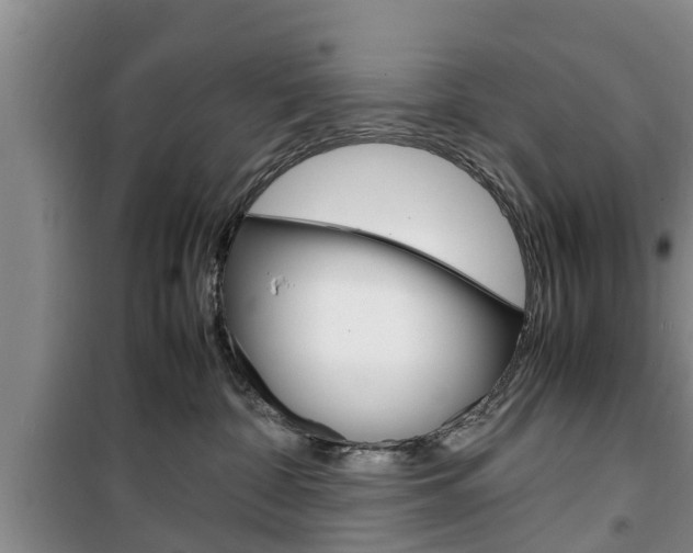 X0000100350332200806060806