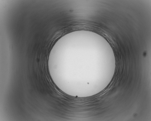 X0000100350333200806060806
