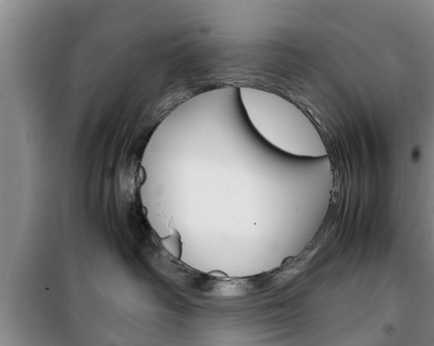 X0000100350334200806060806