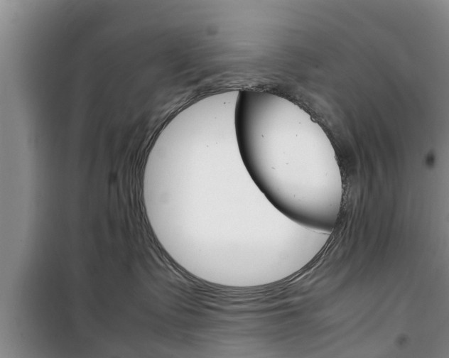 X0000100350335200806060806