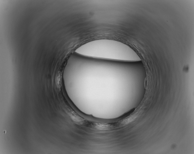 X0000100350336200806060806