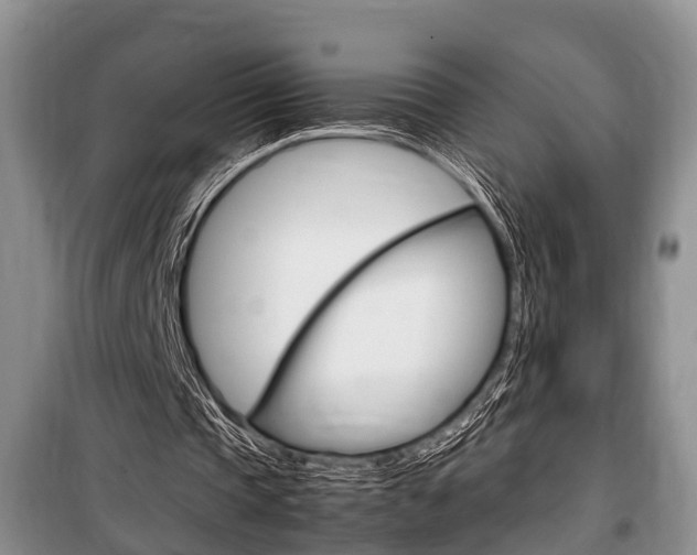 X0000100350337200806060805
