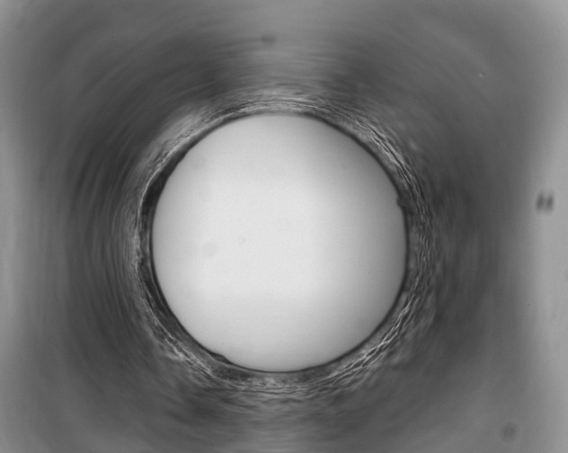 X0000100350338200806060805