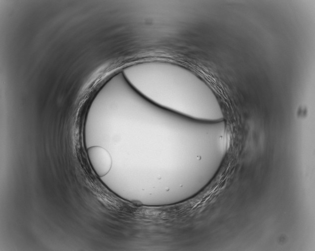 X0000100350339200806060805