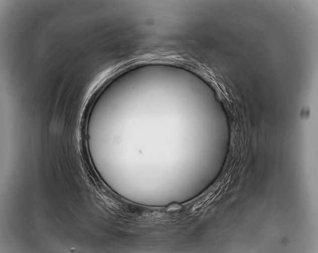 X0000100350340200806060805