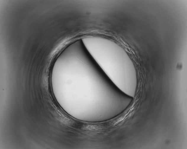 X0000100350341200806060805