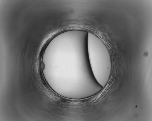 X0000100350342200806060805