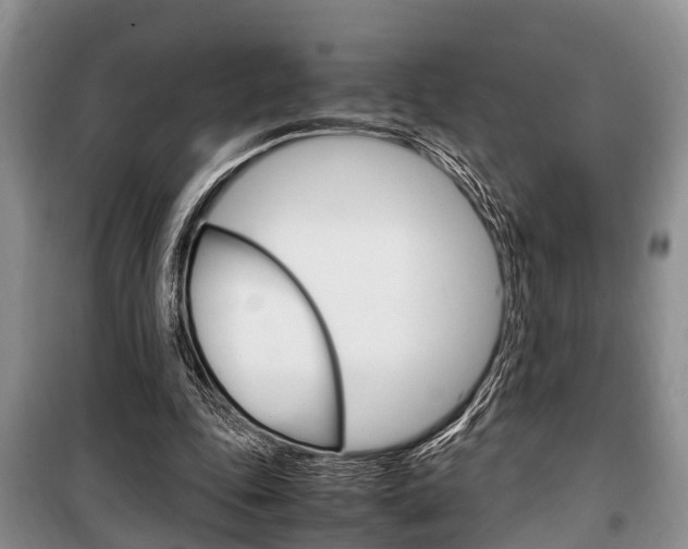 X0000100350343200806060805