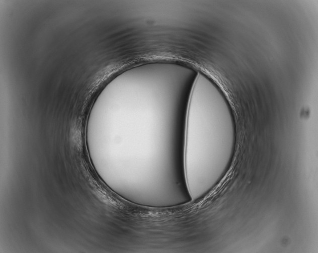 X0000100350345200806060805